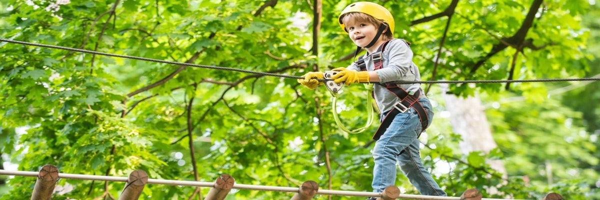 Que Faire En Enfant Accrobranche